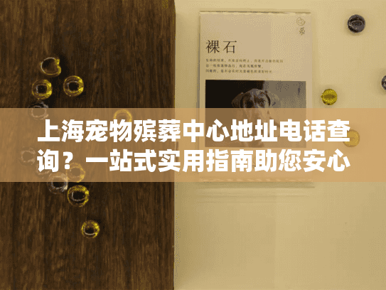 上海宠物殡葬中心地址电话查询？一站式实用指南助您安心服务！