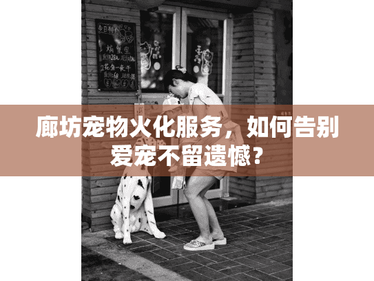 廊坊宠物火化服务，如何告别爱宠不留遗憾？