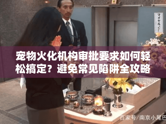 宠物火化机构审批要求如何轻松搞定？避免常见陷阱全攻略