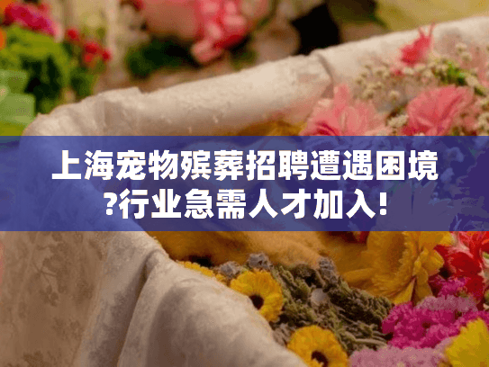 上海宠物殡葬招聘遭遇困境?行业急需人才加入!