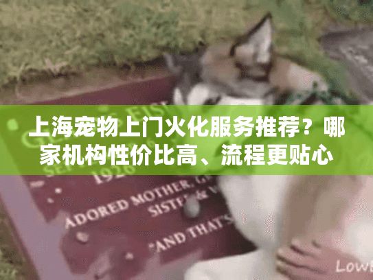 上海宠物上门火化服务推荐？哪家机构性价比高、流程更贴心？