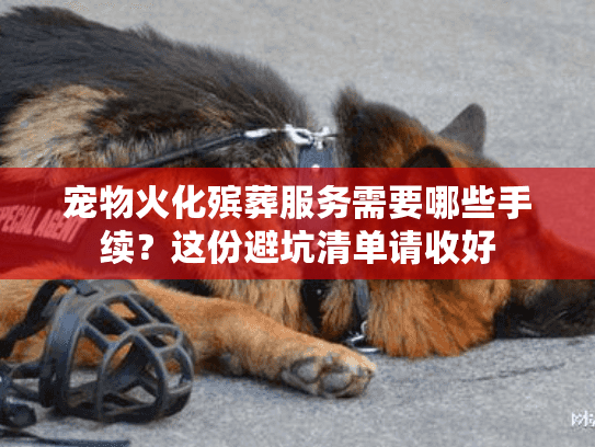 宠物火化殡葬服务需要哪些手续?这份避坑清单请收好 宠物火化殡葬服务需要哪些手续?这份避坑清单请收好