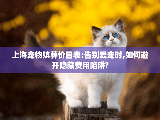 上海宠物殡葬价目表:告别爱宠时,如何避开隐藏费用陷阱?