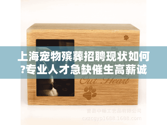 上海宠物殡葬招聘现状如何?专业人才急缺催生高薪诚聘