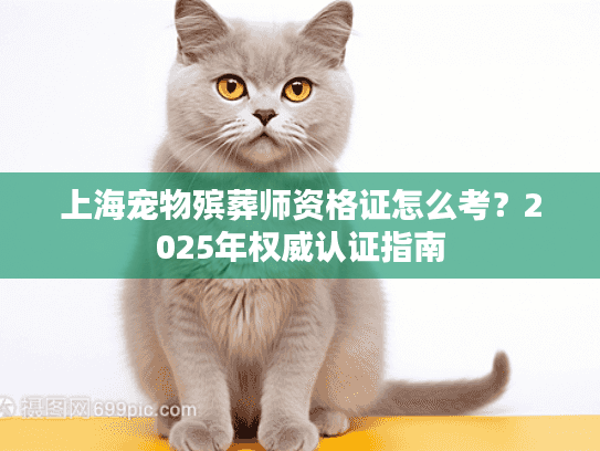上海宠物殡葬师资格证怎么考？2025年权威认证指南