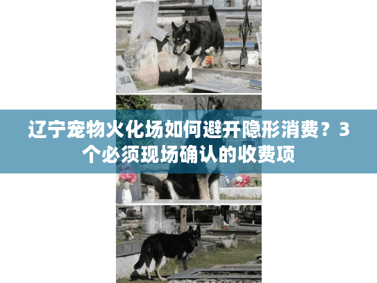 辽宁宠物火化场如何避开隐形消费？3个必须现场确认的收费项