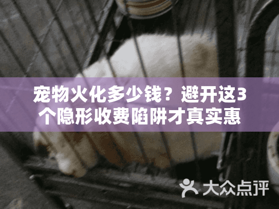 宠物火化多少钱？避开这3个隐形收费陷阱才真实惠