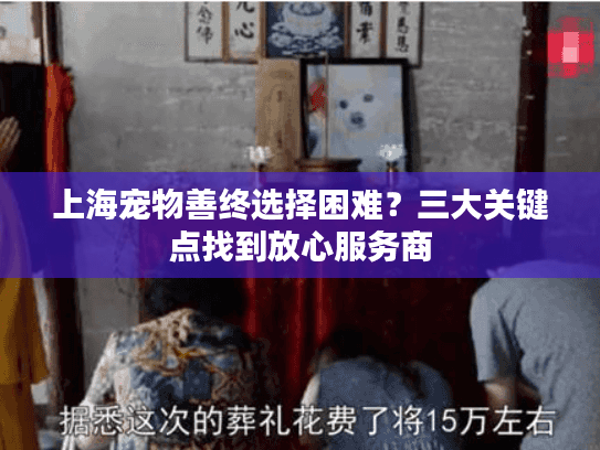 上海宠物善终选择困难？三大关键点找到放心服务商