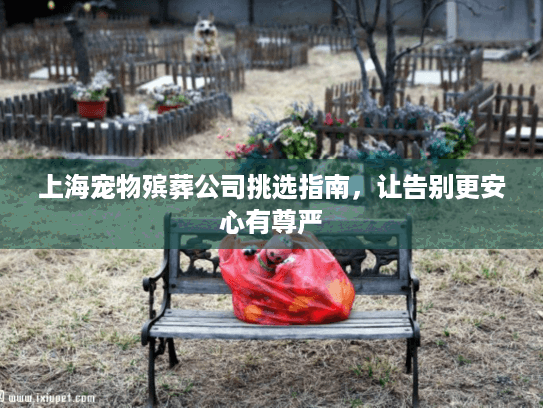 上海宠物殡葬公司挑选指南，让告别更安心有尊严