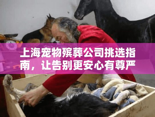 上海宠物殡葬公司挑选指南，让告别更安心有尊严