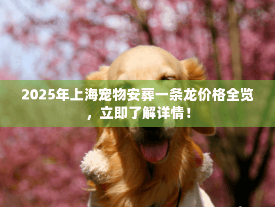 2025年上海宠物安葬一条龙价格全览，立即了解详情！