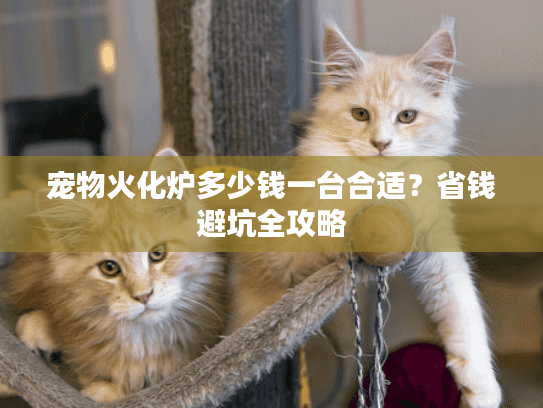 宠物火化炉多少钱一台合适？省钱避坑全攻略
