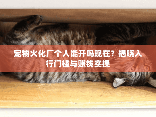 宠物火化厂个人能开吗现在？揭晓入行门槛与赚钱实操
