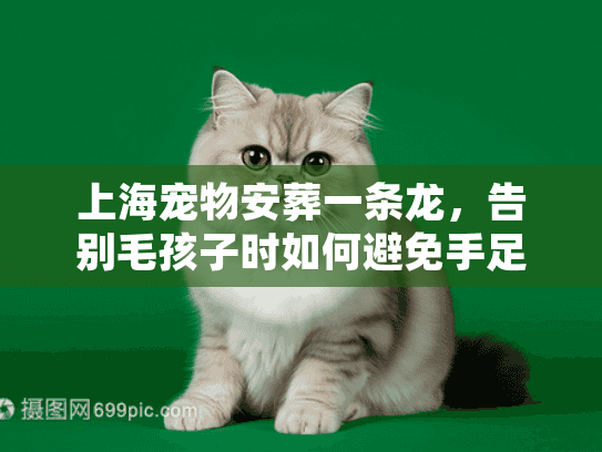 上海宠物安葬一条龙，告别毛孩子时如何避免手足无措？