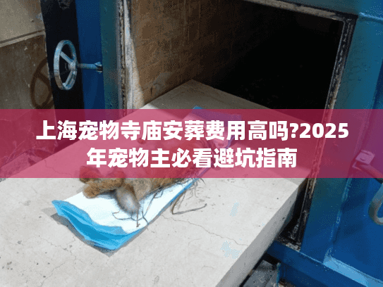 上海宠物寺庙安葬费用高吗?2025年宠物主必看避坑指南