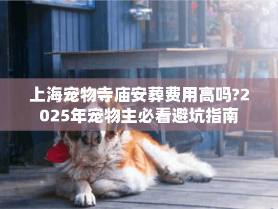 上海宠物寺庙安葬费用高吗?2025年宠物主必看避坑指南