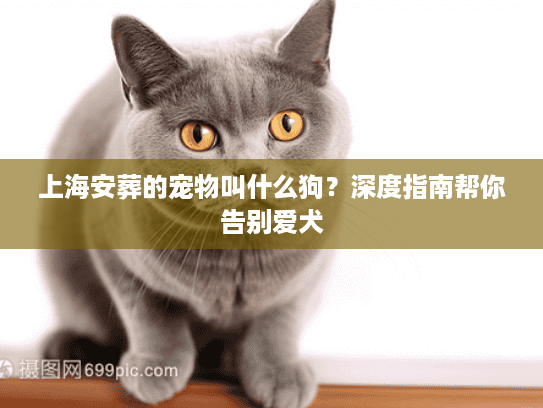 上海安葬的宠物叫什么狗？深度指南帮你告别爱犬