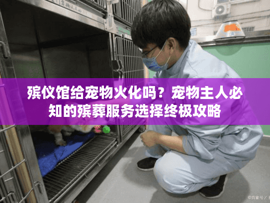 殡仪馆给宠物火化吗？宠物主人必知的殡葬服务选择终极攻略