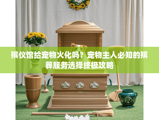 殡仪馆给宠物火化吗？宠物主人必知的殡葬服务选择终极攻略