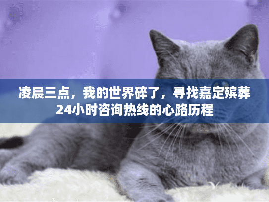 凌晨三点，我的世界碎了，寻找嘉定殡葬24小时咨询热线的心路历程