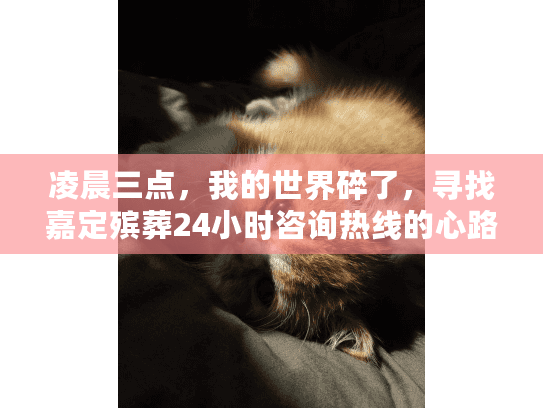 凌晨三点，我的世界碎了，寻找嘉定殡葬24小时咨询热线的心路历程