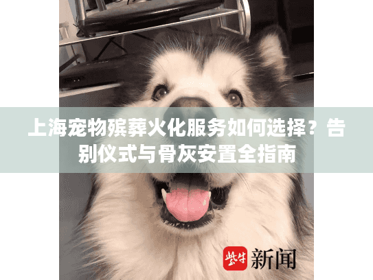 上海宠物殡葬火化服务如何选择？告别仪式与骨灰安置全指南
