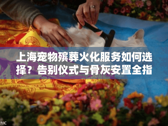 上海宠物殡葬火化服务如何选择？告别仪式与骨灰安置全指南
