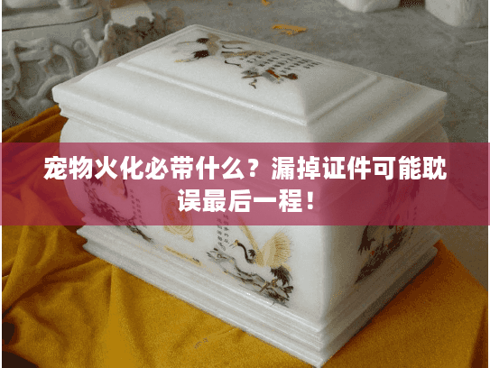 宠物火化必带什么?漏掉证件可能耽误最后一程! 宠物火化必带什么?漏掉证件可能耽误最后一程!