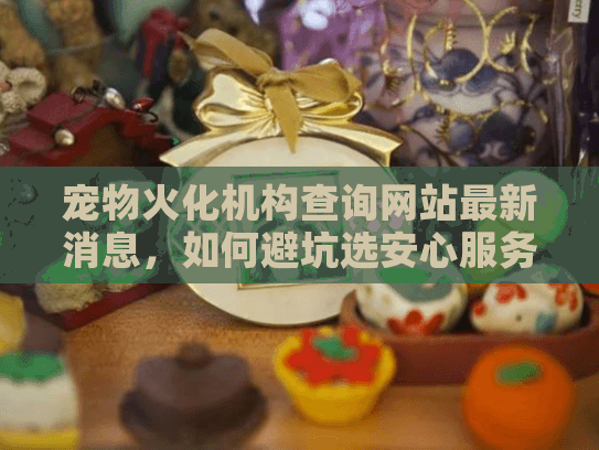 宠物火化机构查询网站最新消息，如何避坑选安心服务？