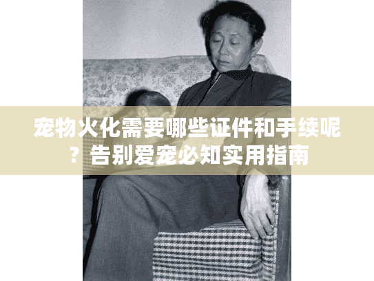 宠物火化需要哪些证件和手续呢？告别爱宠必知实用指南