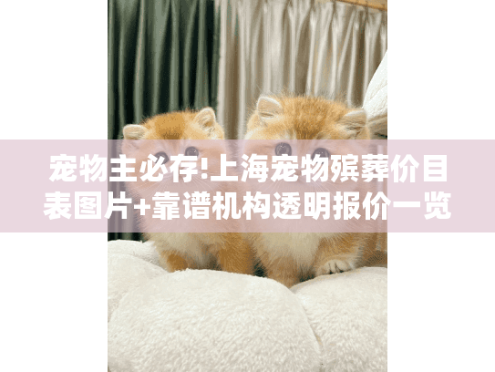 宠物主必存!上海宠物殡葬价目表图片+靠谱机构透明报价一览