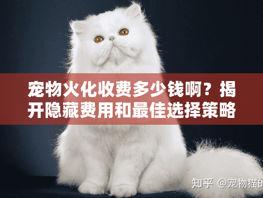 宠物火化收费多少钱啊？揭开隐藏费用和最佳选择策略