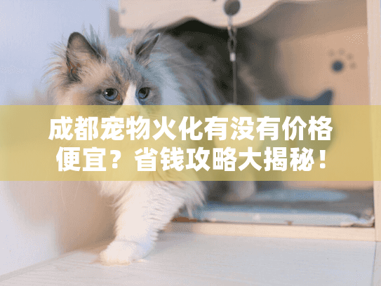 成都宠物火化有没有价格便宜?省钱攻略大揭秘! 成都宠物火化有没有价格便宜?省钱攻略大揭秘!