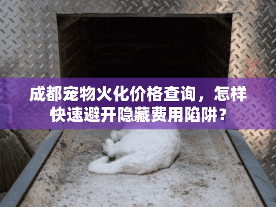 成都宠物火化价格查询，怎样快速避开隐藏费用陷阱？