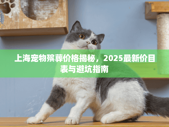 上海宠物殡葬价格揭秘，2025最新价目表与避坑指南