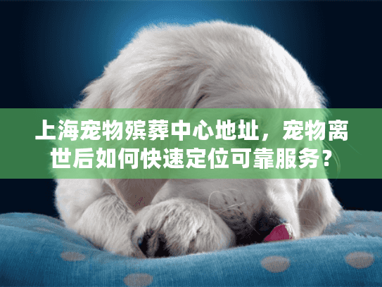 上海宠物殡葬中心地址，宠物离世后如何快速定位可靠服务？