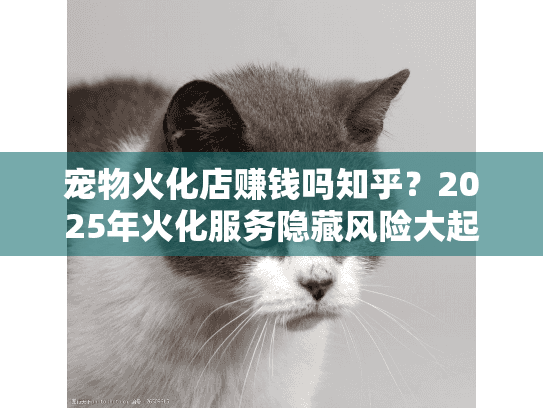 宠物火化店赚钱吗知乎？2025年火化服务隐藏风险大起底
