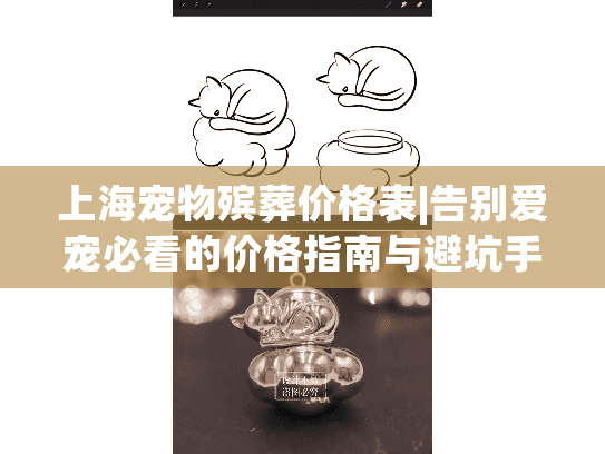上海宠物殡葬价格表|告别爱宠必看的价格指南与避坑手册