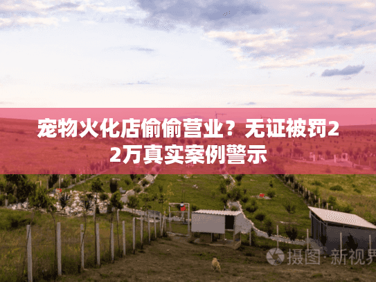 宠物火化店偷偷营业？无证被罚22万真实案例警示