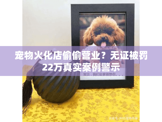 宠物火化店偷偷营业？无证被罚22万真实案例警示