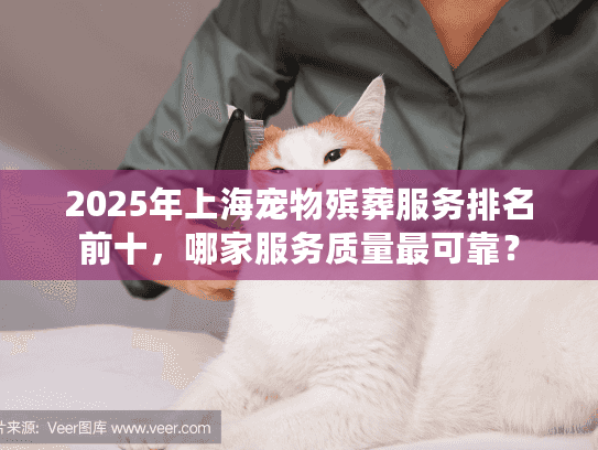 2025年上海宠物殡葬服务排名前十，哪家服务质量最可靠？