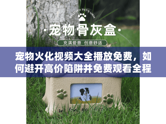 宠物火化视频大全播放免费，如何避开高价陷阱并免费观看全程？
