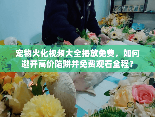 宠物火化视频大全播放免费，如何避开高价陷阱并免费观看全程？