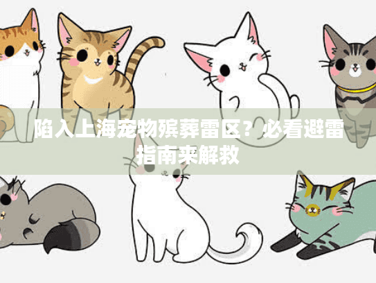 陷入上海宠物殡葬雷区？必看避雷指南来解救