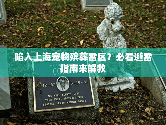陷入上海宠物殡葬雷区？必看避雷指南来解救
