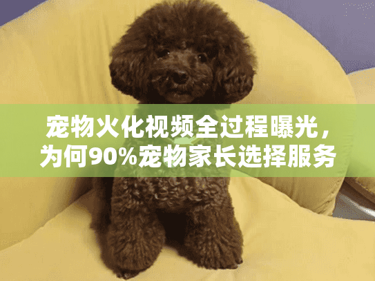 宠物火化视频全过程曝光,为何90%宠物家长选择服务时心碎加倍? 宠物火化视频全过程曝光,为何90%宠物家长选择服务时心碎加倍?