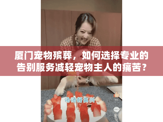 厦门宠物殡葬，如何选择专业的告别服务减轻宠物主人的痛苦？