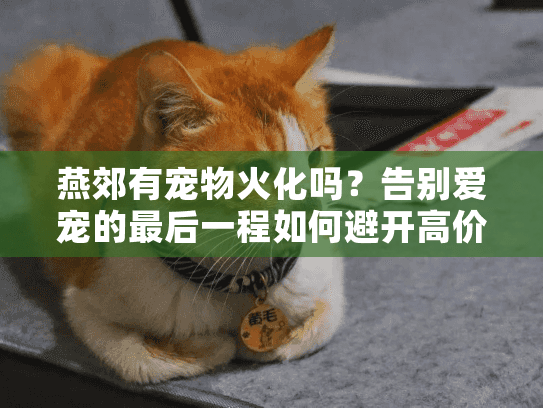 燕郊有宠物火化吗？告别爱宠的最后一程如何避开高价陷阱