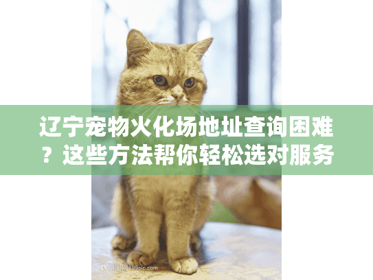 辽宁宠物火化场地址查询困难?这些方法帮你轻松选对服务 辽宁宠物火化场地址查询困难?这些方法帮你轻松选对服务