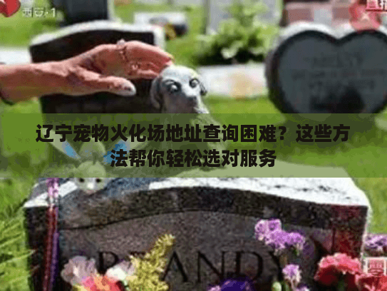 辽宁宠物火化场地址查询困难?这些方法帮你轻松选对服务 辽宁宠物火化场地址查询困难?这些方法帮你轻松选对服务
